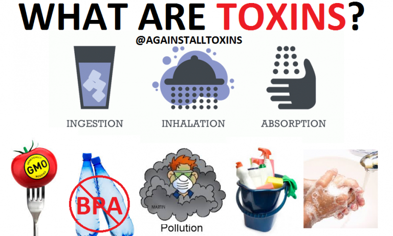 Types Of Toxins - Look Feel Better Today